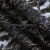 Кружевное полотно XD LACE 1-4, 80 гр/м2, шир.150см, цвет чёрный - купить в Хабаровске. Цена 245.94 руб.