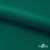 Ткань подкладочная Таффета, 19-5420, 53 г/м2, антистатик, шир. 150 см, вечнозеленый - купить в Хабаровске. Цена 57.16 руб.