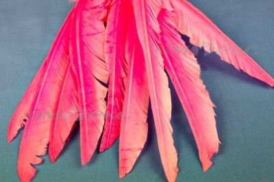 Декоративный Пучок из перьев, перо 25см/розовый - купить в Хабаровске. Цена: 14.40 руб.