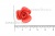 Украшение "Розы малые №1" 20мм - купить в Хабаровске. Цена: 32.49 руб.