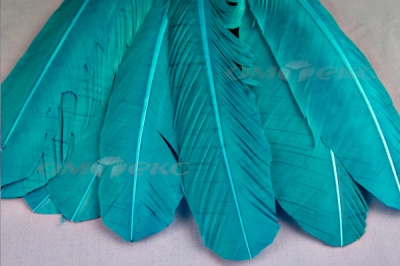 Декоративный Пучок из перьев, перо 24см/голубой - купить в Хабаровске. Цена: 12.19 руб.
