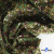 Ткань костюмная «Микровельвет велюровый принт», 220 г/м2, 97% полиэстр, 3% спандекс, ш. 150См Цв  #9 - купить в Хабаровске. Цена 439.76 руб.