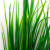 Трава искусственная -2, шт (осока 41см/8 см)				 - купить в Хабаровске. Цена: 105.63 руб.