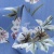 Плательная ткань "Фламенко" 12.1, 80 гр/м2, шир.150 см, принт растительный - купить в Хабаровске. Цена 241.49 руб.