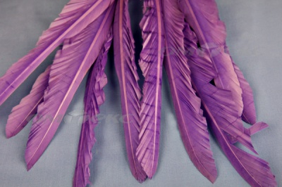 Декоративный Пучок из перьев, перо 25см/фиолетовый - купить в Хабаровске. Цена: 12.19 руб.