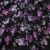 Плательная ткань "Фламенко" 20.1, 80 гр/м2, шир.150 см, принт растительный - купить в Хабаровске. Цена 241.49 руб.