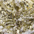 Трикотажное полотно, Сетка с пайетками, шир.130 см, #315, цв.-белый/золото - купить в Хабаровске. Цена 693.39 руб.