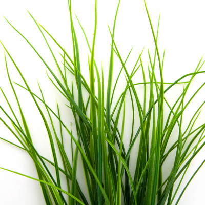 Трава искусственная -3, шт (осока 50 см/8 см  5 листов)				 - купить в Хабаровске. Цена: 124.17 руб.